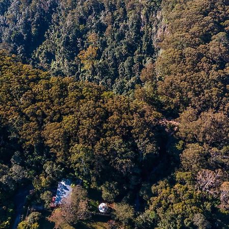 Purling Brook Falls Gwongorella Otel Springbrook Dış mekan fotoğraf