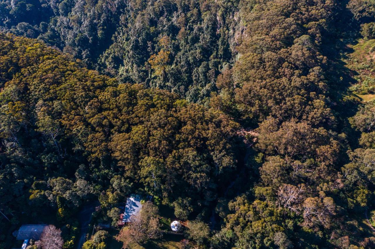 Purling Brook Falls Gwongorella Otel Springbrook Dış mekan fotoğraf