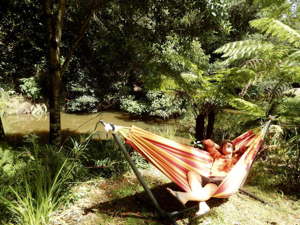 Purling Brook Falls Gwongorella Otel Springbrook Dış mekan fotoğraf