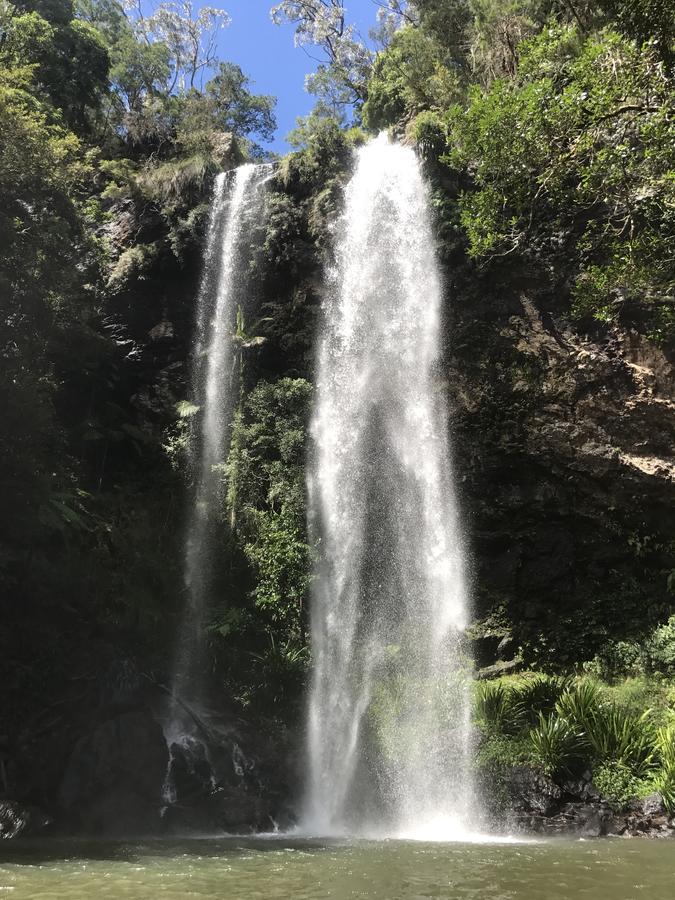 Purling Brook Falls Gwongorella Otel Springbrook Dış mekan fotoğraf