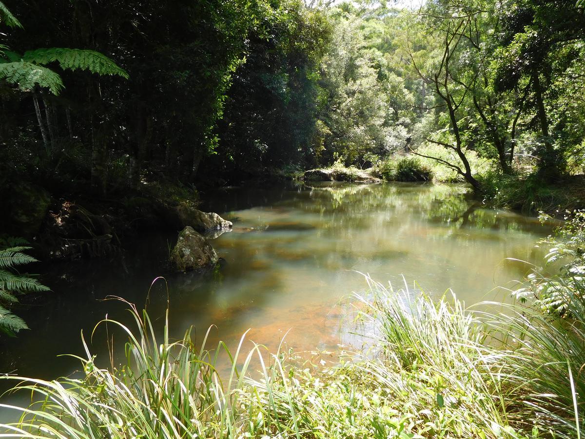 Purling Brook Falls Gwongorella Otel Springbrook Dış mekan fotoğraf