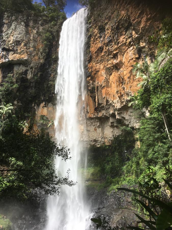 Purling Brook Falls Gwongorella Otel Springbrook Dış mekan fotoğraf