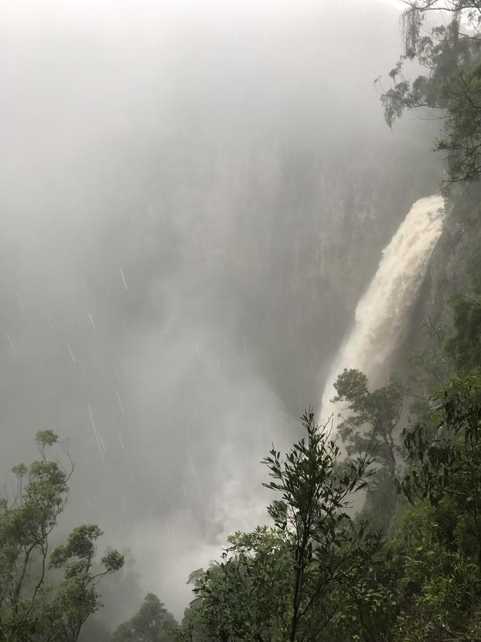 Purling Brook Falls Gwongorella Otel Springbrook Dış mekan fotoğraf